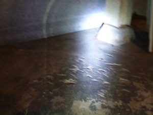 photo of Axe marks from Rush locates on concrete foudation floor